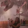 Dani Livermore - @danilivermore1 - TikTok