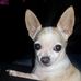 Daniel Lobue - Facebook