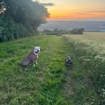 Dan Lock - @danlock20 - Instagram