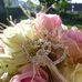 Daniela Loeffler - Facebook