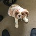 Dan Lofton - Facebook