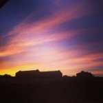 Dan Lombardo - @b4rd00 - Instagram