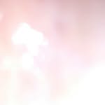 daniellongstreet - @daniellongstreet11 - Instagram