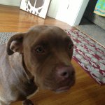 Dan Longtin - @diggitydanlongtin - Instagram