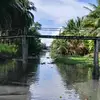 Việt - @danhmatlongtin0 - TikTok