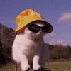 dan_look__ - @dan_look__ - TikTok