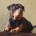 Flexy Dan-loomis - Facebook