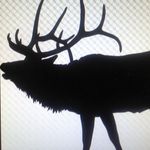Dan Turner - @loosenutdan - Instagram