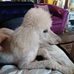Dan Lord - Facebook