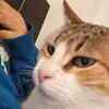 Dan - @dan.lore - TikTok