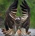 Dan Loucks - Facebook