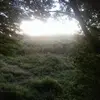 danlouder - @danlouder - TikTok