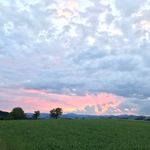 Dan Lovelace MBACP - @walk_it_out_therapy - Instagram