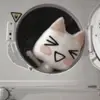 Daniela ☻ - @dannloviiu - TikTok