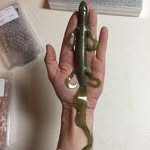 Dan Lovin - @thegrandlures - Instagram
