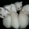 Dan Loving E - @dan.loving_eny - TikTok