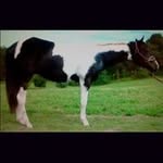 Dan Lowery - @dan_lowery - Instagram