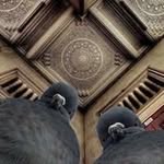 Dan Lozan - @danlozan - Instagram