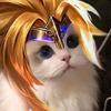 crazy_cat - @danelozon - TikTok