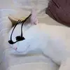 Daniele Lucarelli - @daniele.lucarelli - TikTok