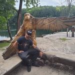 Dan Lucia - @falcons_lizardking - Instagram