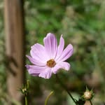 Dan - @danwerkluft - Instagram
