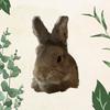 BunnydanLumpit - @rockbunny06 - TikTok
