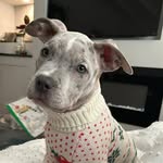 Dan Lupton - @danlupton78 - Instagram