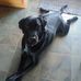 Dan Luskey - Facebook