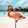 Lalelu - @dana.lustig - TikTok