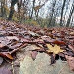 @lustig_aber_dan_doch_nicht - Instagram