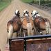 Dan Mader - Facebook