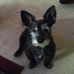 Dan Magee - Facebook