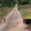 dan.magee.09 - @dan.magee.09 - TikTok
