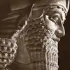 Dan - @dan.major - TikTok