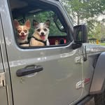 Dan Major and family - @nomadictailsandtrails - Instagram