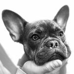 Dan Maltby - @maltby675 - Instagram