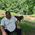 Dan Manolescu - Facebook