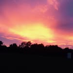 Dan_mansfield - @dan_mansfield404 - Instagram