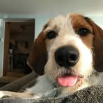 Dan Marcus - Facebook