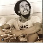Dan Marley - @magicmarleymarls - Instagram