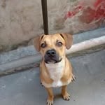 Dan Marley - @marley5149 - Instagram