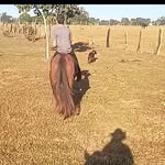 Danilo_🏃💨🐂 - @danmarley704 - Instagram