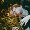 Dan Marlowe - @dan.marlowe - TikTok