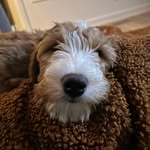 Dan Maron - @dan_maron - Instagram