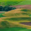 Danmar Onicentv - @danmaronicentv - TikTok