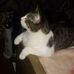Dan Marston - Facebook