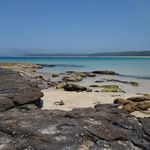 Dan Mather - @dwcm_oz - Instagram