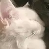 danss_CMS - @dan_matter - TikTok