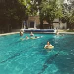 Dan Matz - @matz.dani - Instagram